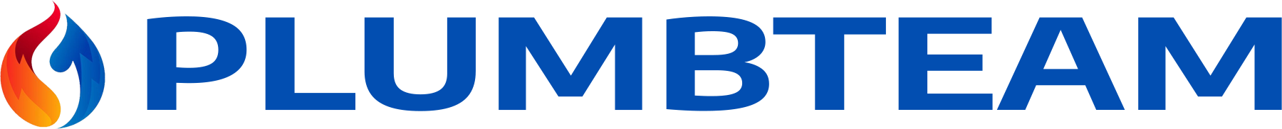 website logo